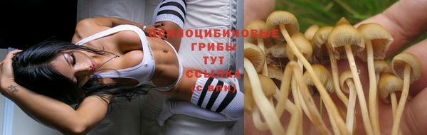 мдма Белокуриха