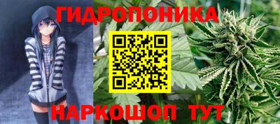 тгк Волжск