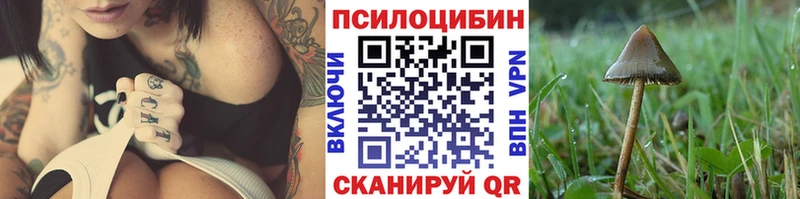 Псилоцибиновые грибы Psilocybine cubensis  где продают   Кузнецк 