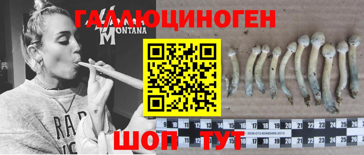 купить наркотик  Псилоцибиновые грибы мицелий  Вход с VPN  Кузнецк 